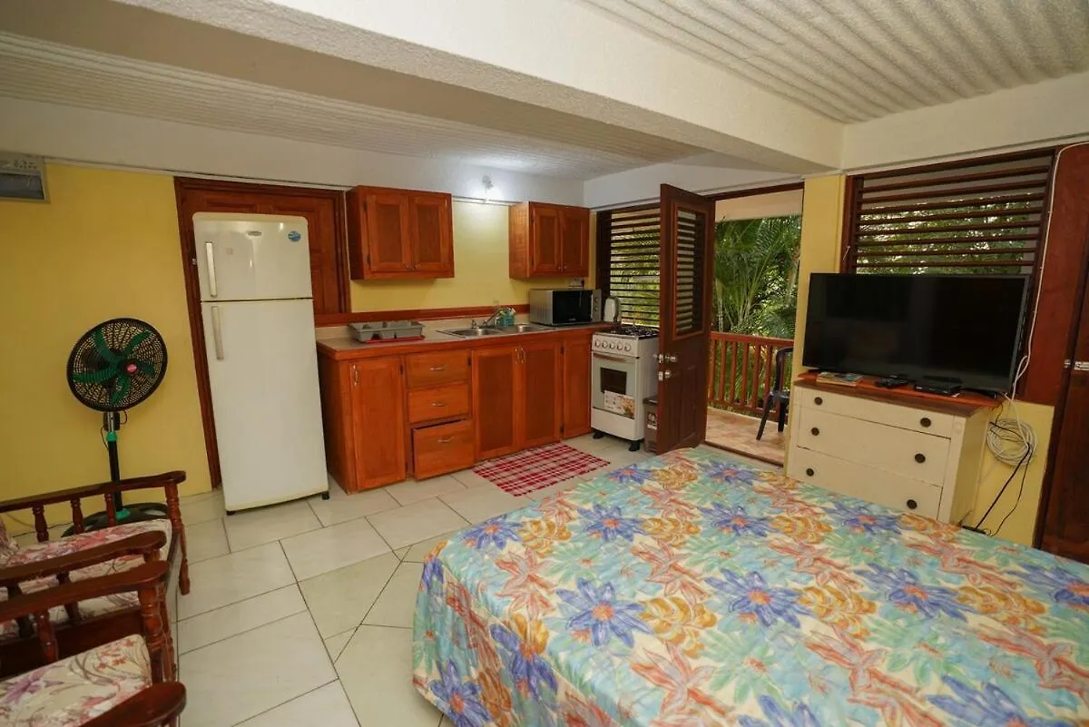 Kc'S Apartment Castries