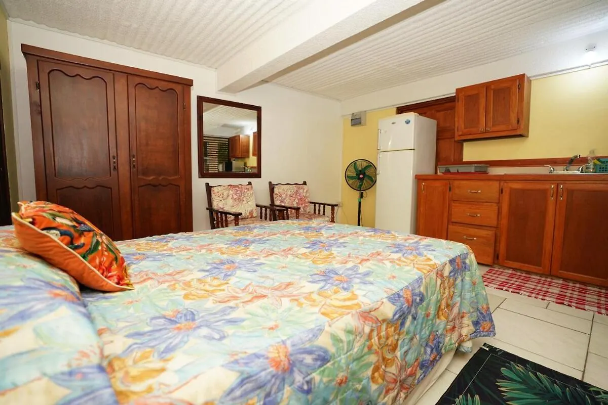 Kc'S Apartment Castries